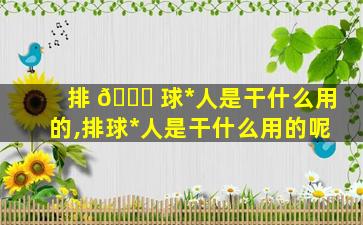 排 🐝 球*
人是干什么用的,排球*
人是干什么用的呢
